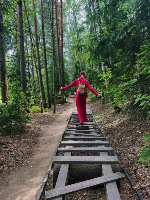 Фото Экологический маршрут "Босоногая тропа" (в национальном парке Лосиный остров) - развлечение в Москве | Досугатор